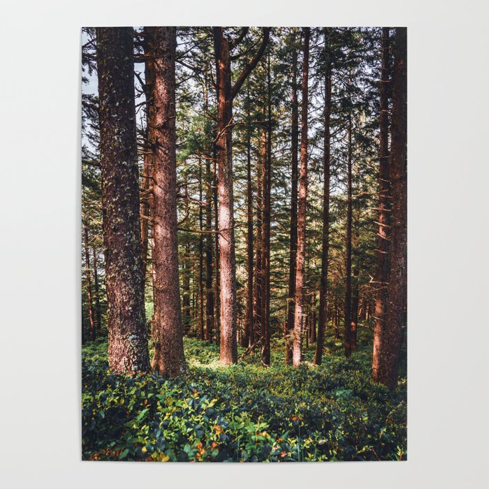 Oregon Coast Poster Gallery Image 4