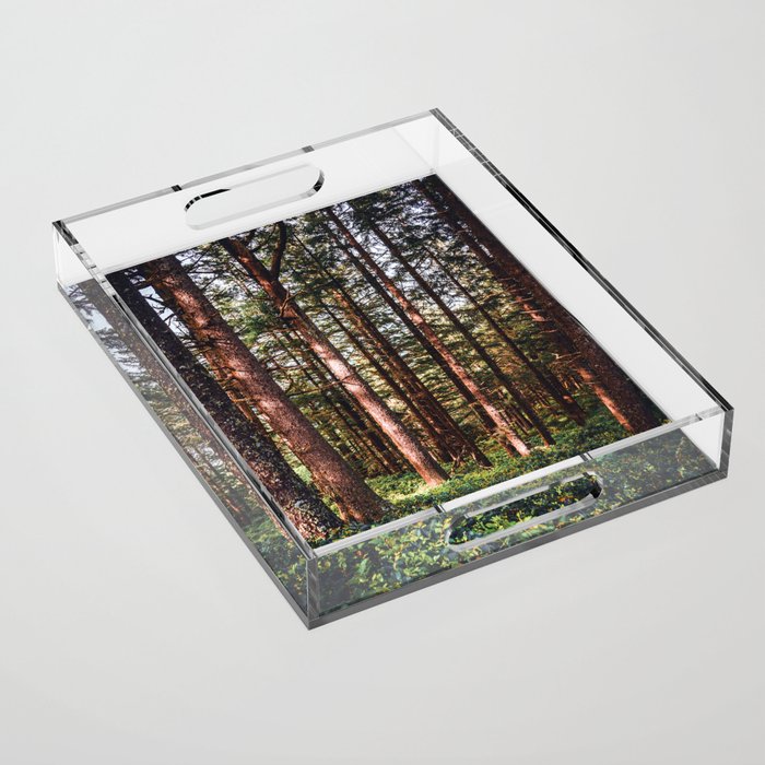 Oregon Coast Acrylic Tray Gallery Image 1