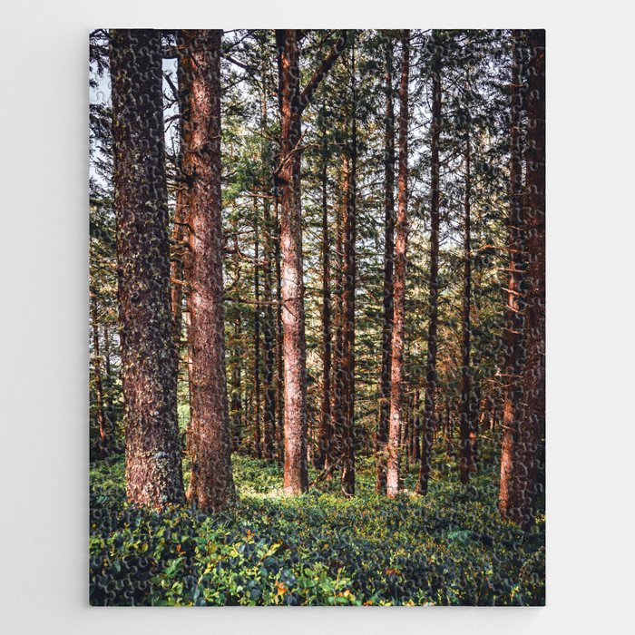 Oregon Coast Jigsaw Puzzle Gallery Image 1