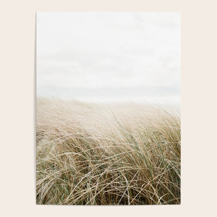 Dune grass | Ireland travel photogragraphy print | At the beach Poster Gallery Image 4