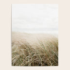 Dune grass | Ireland travel photogragraphy print | At the beach Poster Gallery Image 4