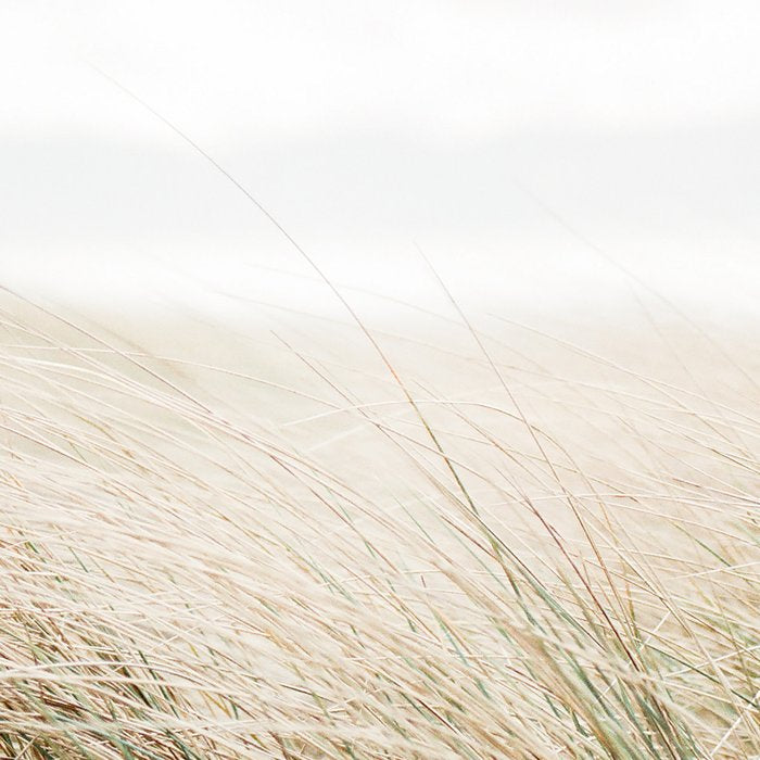 Dune grass | Ireland travel photogragraphy print | At the beach Coffee Mug Gallery Image 2