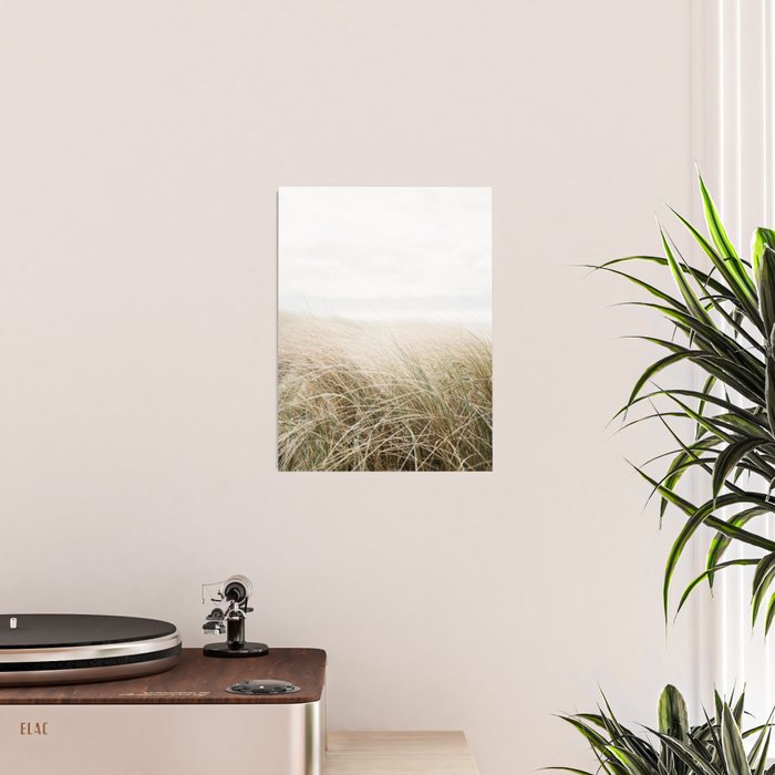 Dune grass | Ireland travel photogragraphy print | At the beach Poster Gallery Image 2
