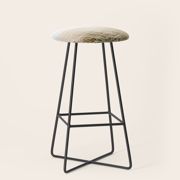 Dune grass | Ireland travel photogragraphy print | At the beach Stool Gallery Image 1