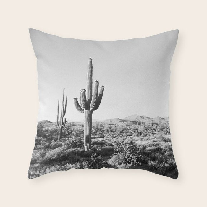 DESERT II / Phoenix, Arizona Throw Pillow Gallery Image 6