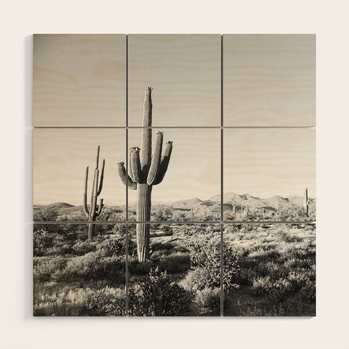 DESERT II / Phoenix, Arizona Wood Wall Art Gallery Image 1