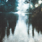 Dreaming of PNW Coffee Mug Gallery Image 2