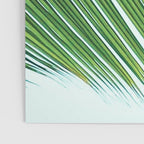 Palm leaf - greenery Poster Gallery Image 3