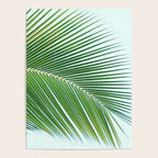 Palm leaf - greenery Poster Gallery Image 4