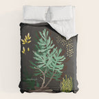 SAGEBRUSH Comforter Gallery Image 6