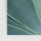 Agave crown Poster Gallery Image 3