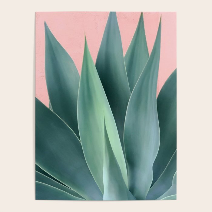 Agave crown Poster Gallery Image 4