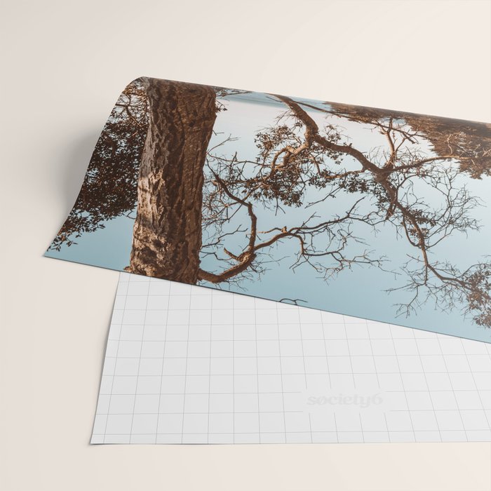 Big Sur Sunset at McWay Falls Wrapping Paper Gallery Image 2