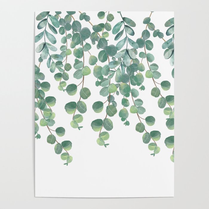 Decorative Eucalyptus Leaves Poster Gallery Image 1