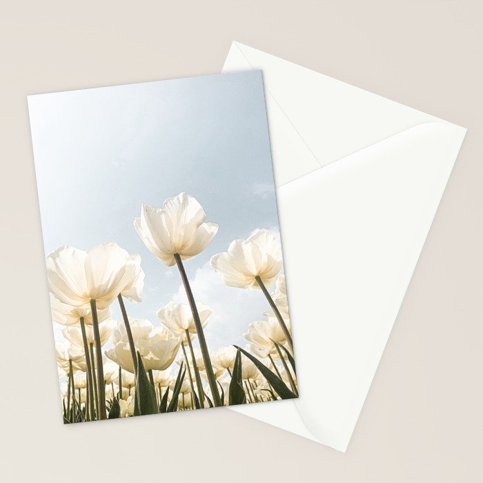 White Tulips In Spring In Holland Photo | Dutch Flowers Art Print |  Europe Travel Photography Stationery Card Gallery Image 2