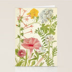 Wildflowers from "Rocky Mountain Flowers" (1914) by Edith Clements (benefitting The Nature Conservancy) Stationery Card Gallery Image 2