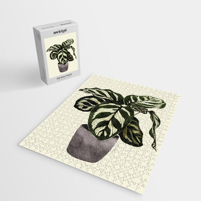 calathea botanical interior plant Jigsaw Puzzle Gallery Image 2