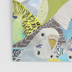 Budgie Parakeets Poster Gallery Image 3