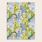 Budgie Parakeets Poster Gallery Image 4