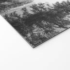 Misty Forest Welcome Mat Gallery Image 2