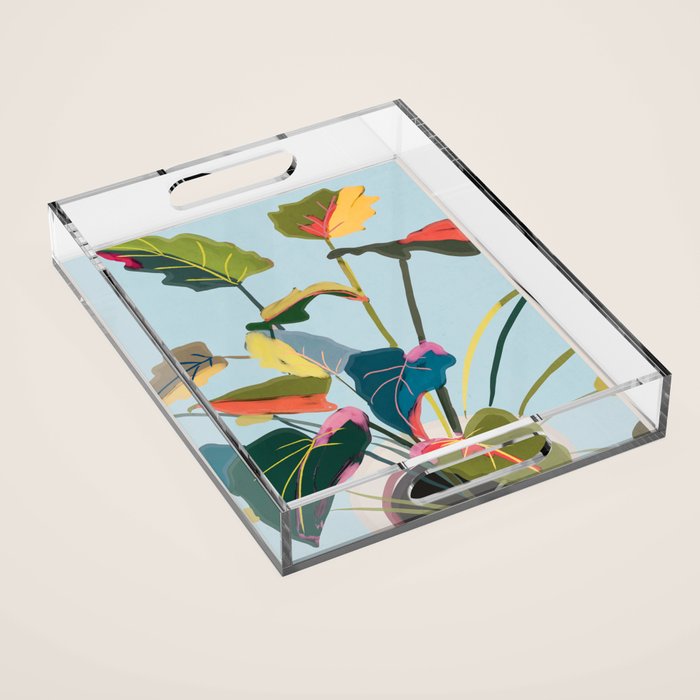 House Plant 8 Acrylic Tray Gallery Image 1