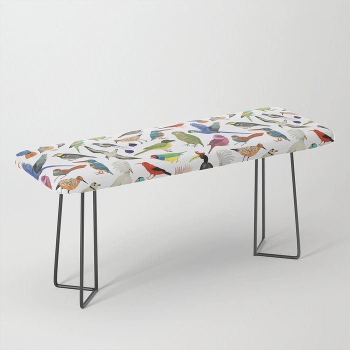 Endangered Birds Around the World Bench Gallery Image 1