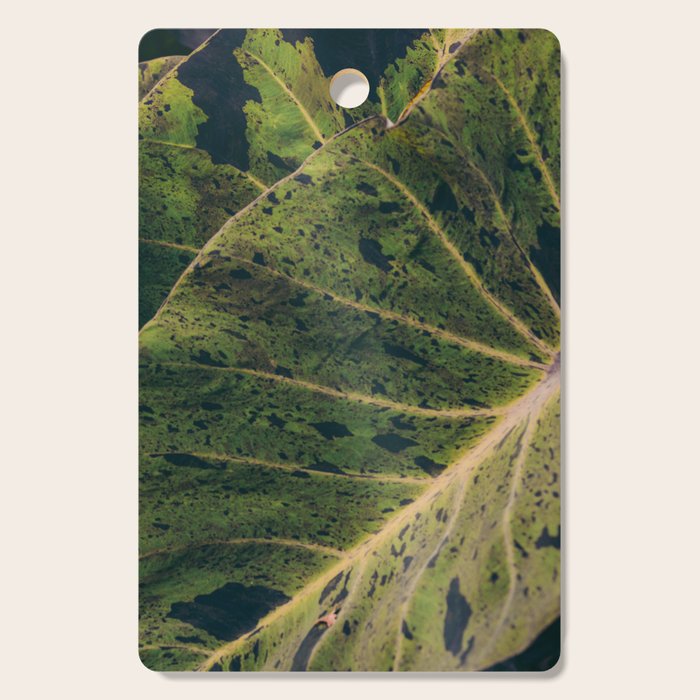 Elephant Ear Photo Study Cutting Board Gallery Image 1