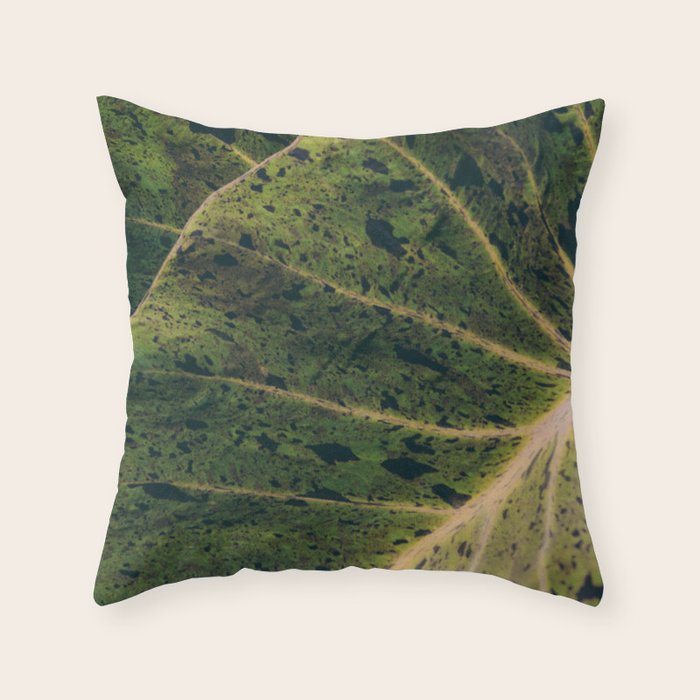 Elephant Ear Photo Study Throw Pillow Gallery Image 6