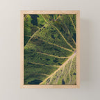 Elephant Ear Photo Study Mini Art Print Gallery Image 1