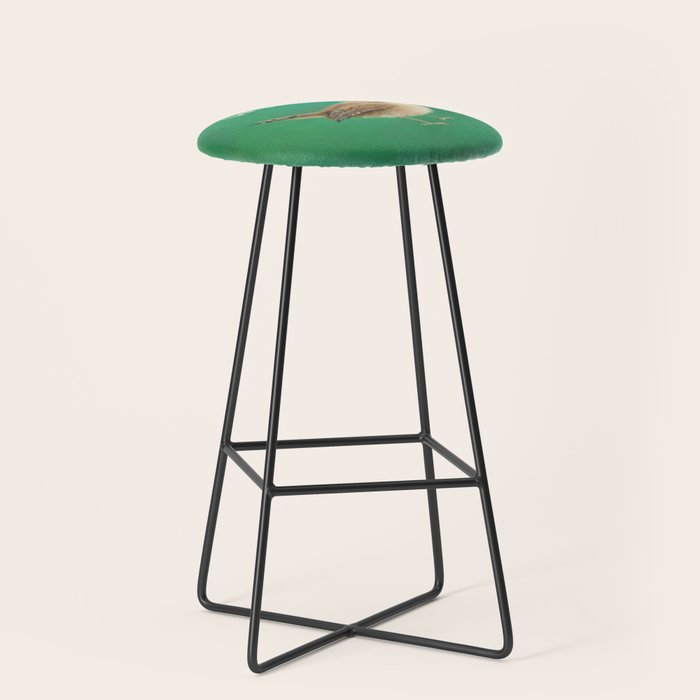 Wren Stool Gallery Image 1
