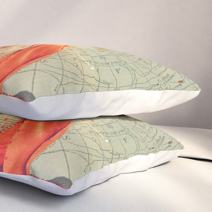 Antarctic Broadcast Pillow Sham Gallery Image 3