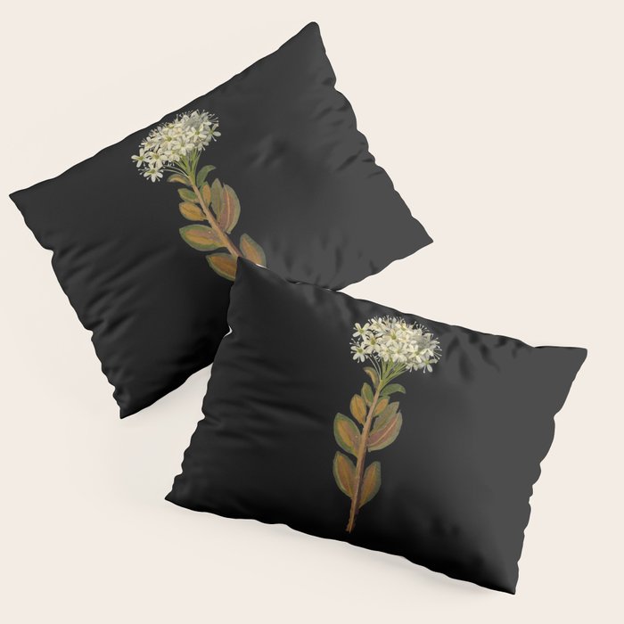 Ledum Latifolium by Mary Delany Paper Collage Floral Flower Botanical Paper Mosaic Vintage Scientific Plant Anatomy  Pillow Sham Gallery Image 3