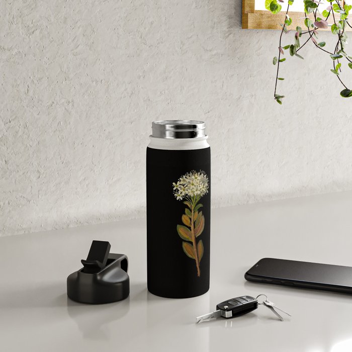 Ledum Latifolium by Mary Delany Paper Collage Floral Flower Botanical Paper Mosaic Vintage Scientific Plant Anatomy  Water Bottle Gallery Image 4