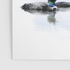 Loons Poster Gallery Image 3