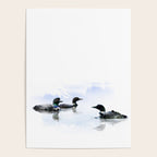 Loons Poster Gallery Image 4