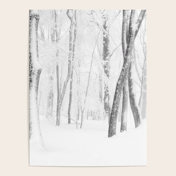 Winter Forest Landscape Poster Gallery Image 1