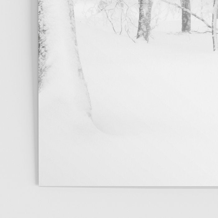 Winter Forest Landscape Poster Gallery Image 3
