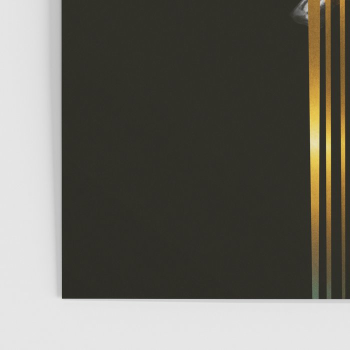 MDS Poster Gallery Image 3