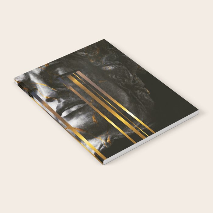 MDS Notebook Gallery Image 2