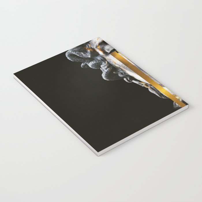 MDS Notebook Gallery Image 3