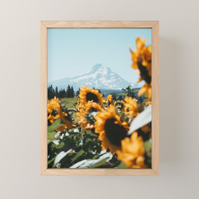 Mt. Hood Sunflower Field Mini Art Print Gallery Image 1