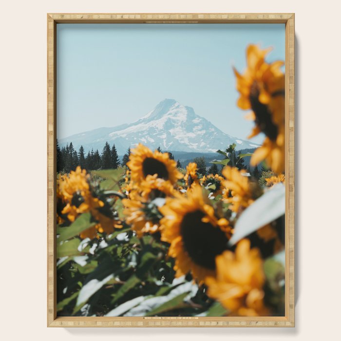 Mt. Hood Sunflower Field Serving Tray Gallery Image 1
