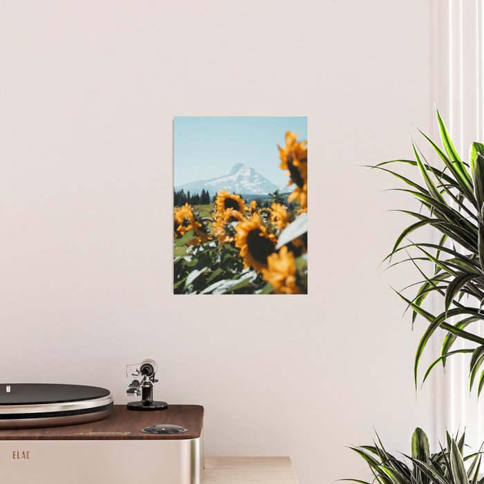 Mt. Hood Sunflower Field Poster Gallery Image 2
