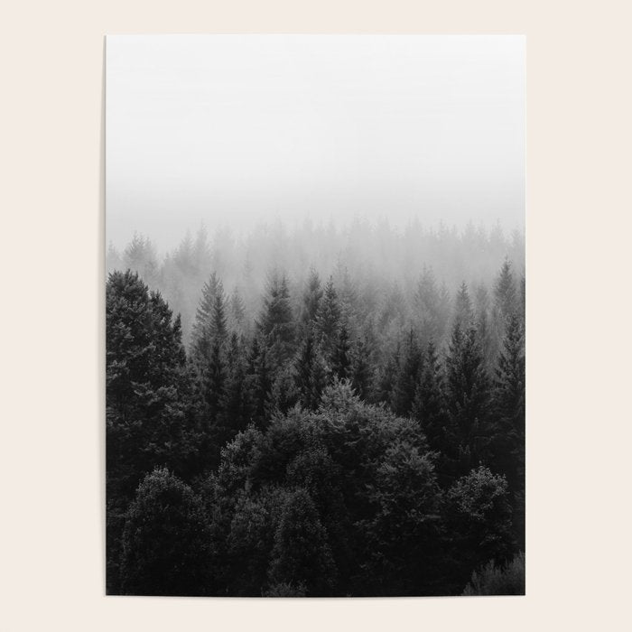 Forest, Black and White Poster Gallery Image 4