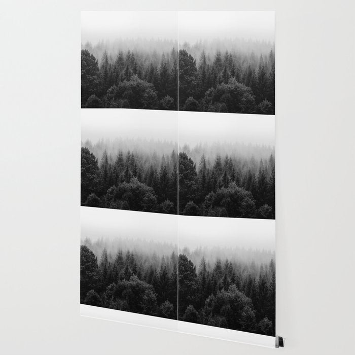 Forest, Black and White Wallpaper Gallery Image 2