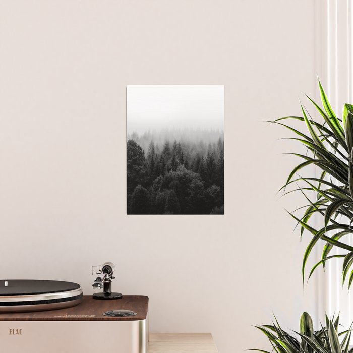 Forest, Black and White Poster Gallery Image 2