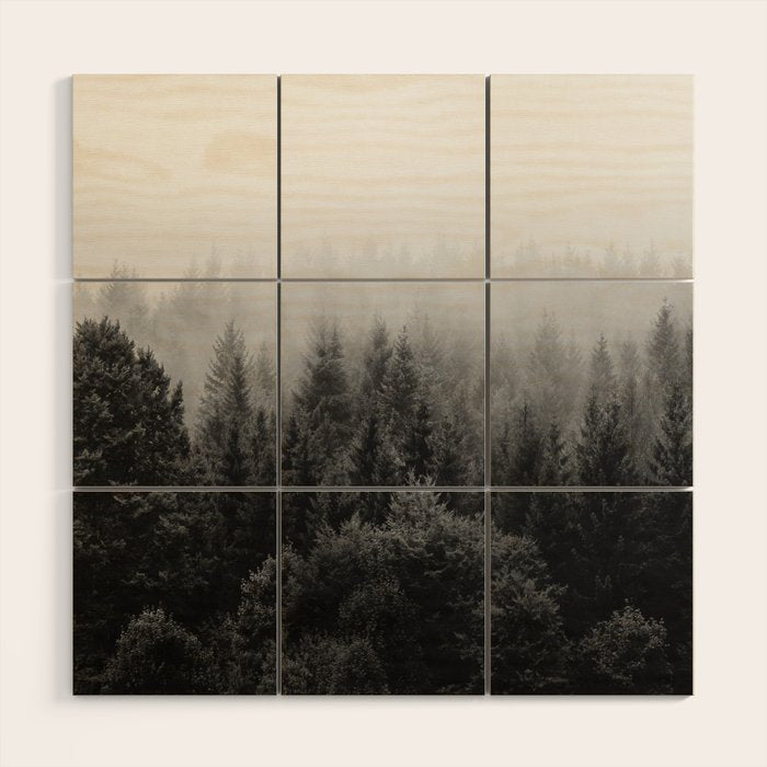 Forest, Black and White Wood Wall Art Gallery Image 1