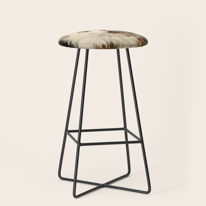 Shocked Cat III Stool Gallery Image 1