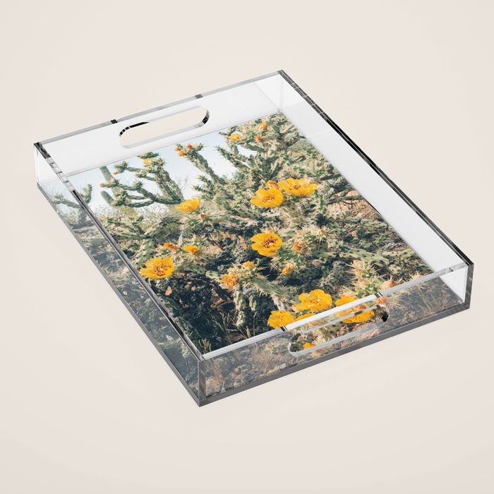 Buckhorn Cholla Cactus Flowers Acrylic Tray Gallery Image 1