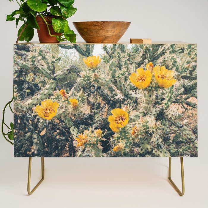 Buckhorn Cholla Cactus Flowers Credenza Gallery Image 1